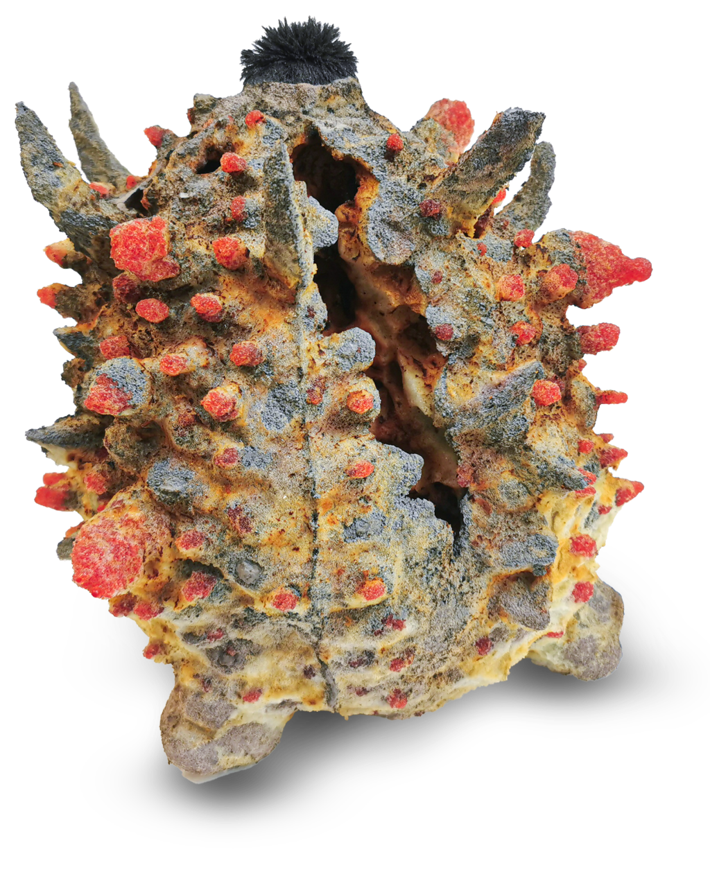 Host Structure I&nbsp;(Latent)