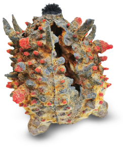 Host Structure I&nbsp;(Latent)