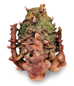 Holobiont II