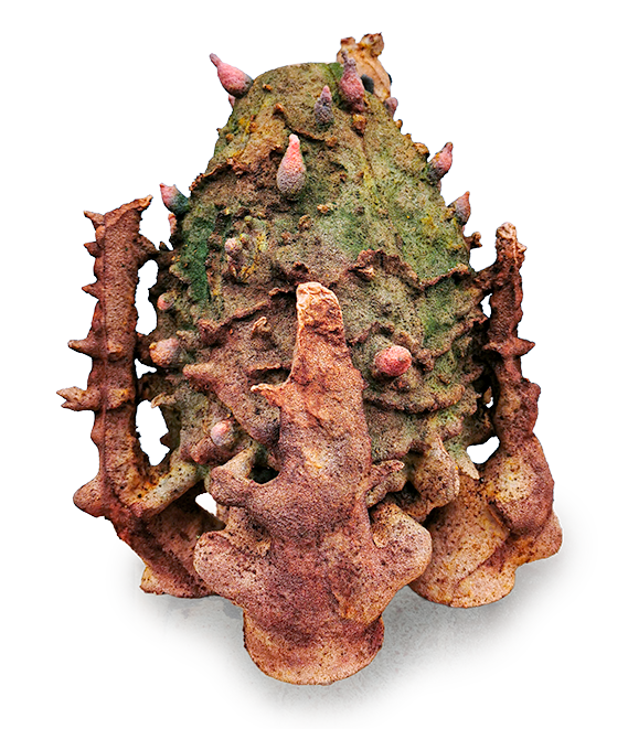Holobiont II