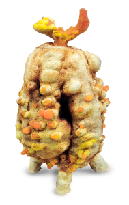 Host Structure V