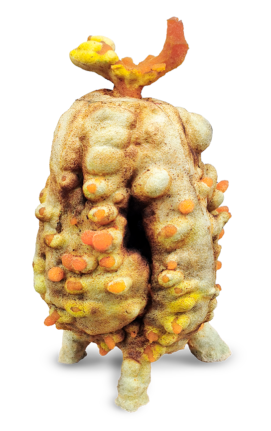 Host Structure V