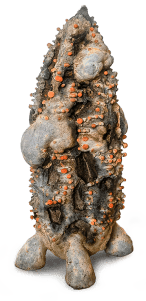 Sub-Imago Column (Seventh&nbsp;Instar)