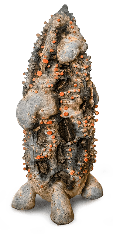 Sub-Imago Column (Seventh&nbsp;Instar)
